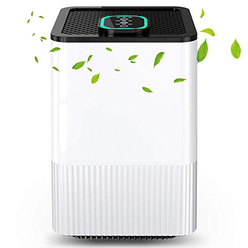 Oczyszczacz powietrza 4 w 1 z filtrem HEPA i jonizatorem, oczyszczacz powietrza do domu z wyświetlaczem jakości powietrza i ...